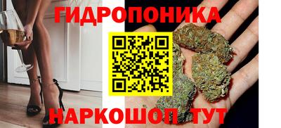 дживик Вышний Волочёк