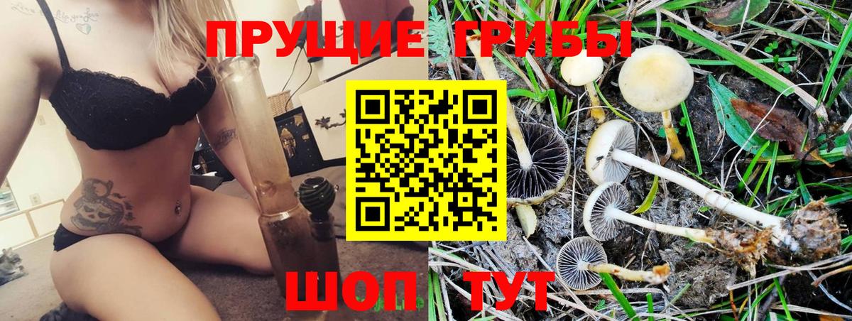 Галлюциногенные грибы Psilocybe Грязи